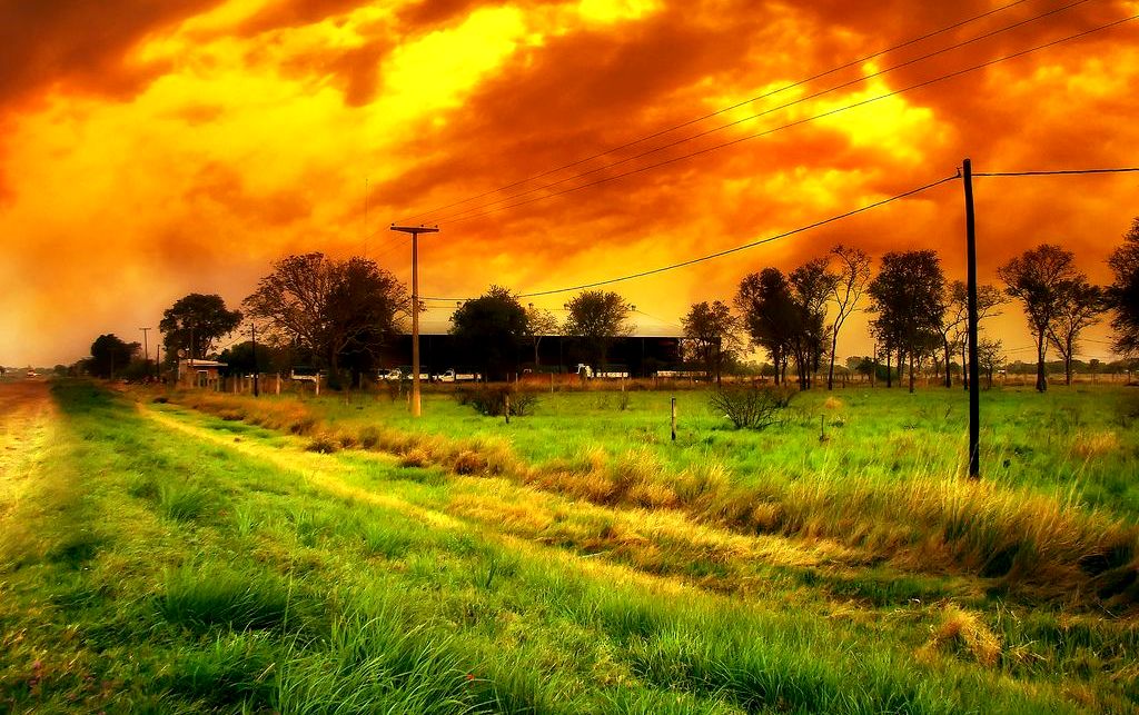 Los productores agropecuarios argentinos esperan peores resultados económicos a los obtenidos el año pasado