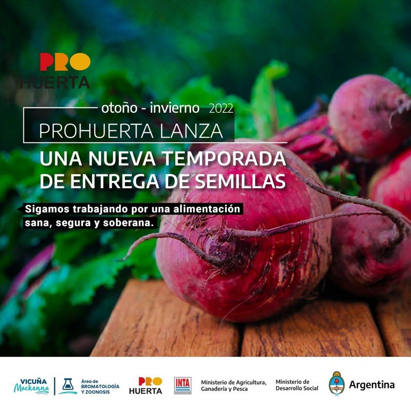 Prohuerta: comenzó la temporada de siembra otoño/invierno