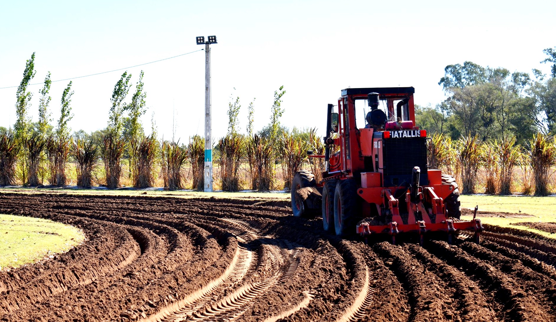 Arreglos en el Polideportivo Municipal