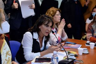 Diputados emitió dictamen para la creación del Parque Nacional Ansenuza
