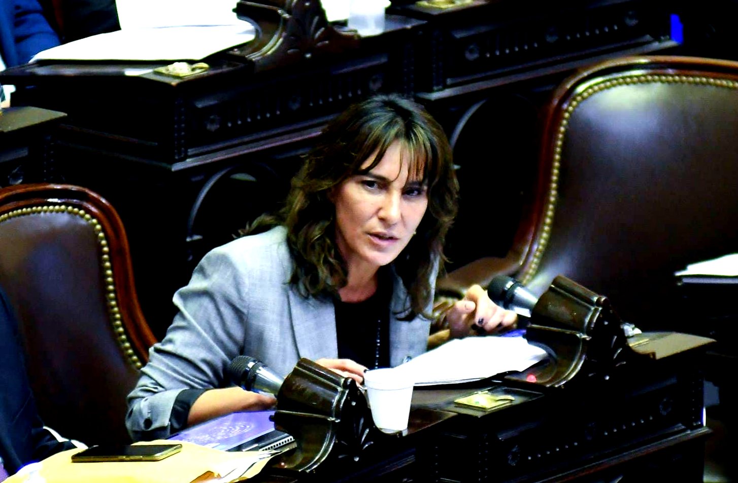 Diputados aprobó la creación del Parque y Reserva Nacional Ansenuza