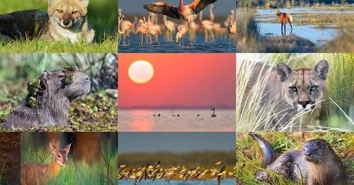 La reserva Ansenuza fue declarada Parque Nacional