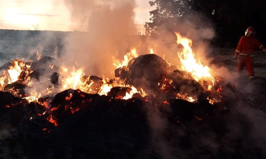 Incendio forestal en cercanías de Mackenna
