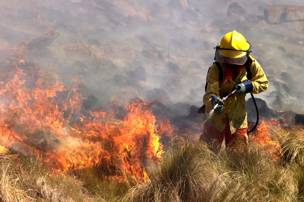 Incendios: estado de situación en la provincia
