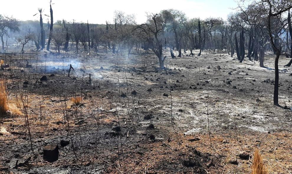 Continúa siendo extremo el riesgo de incendios en la provincia