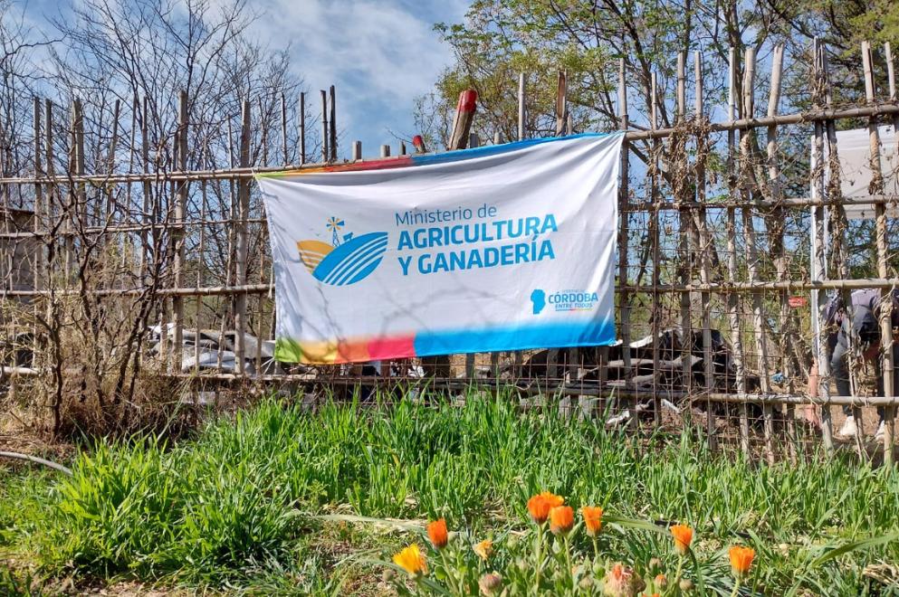 Huerta en tu Hogar: se lanzó la temporada primavera-verano