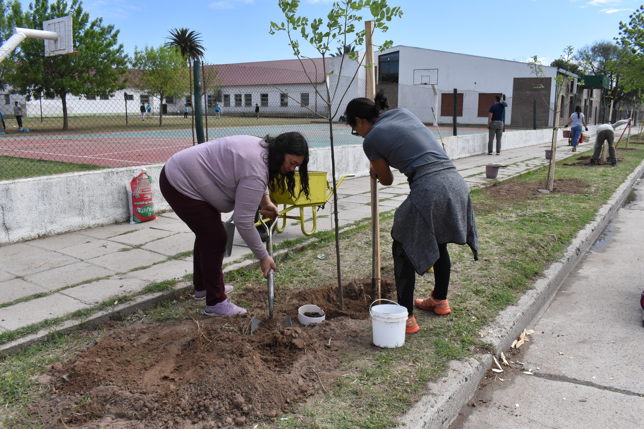 Se plantaron árboles en la escuela Napoleón Uriburu