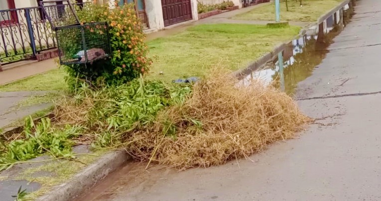 La Muni de Mackenna multará a quienes tiren basuras en las calles