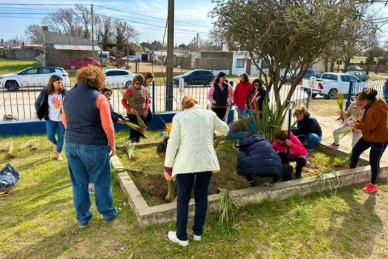  Paisajismo y arreglo de exteriores 