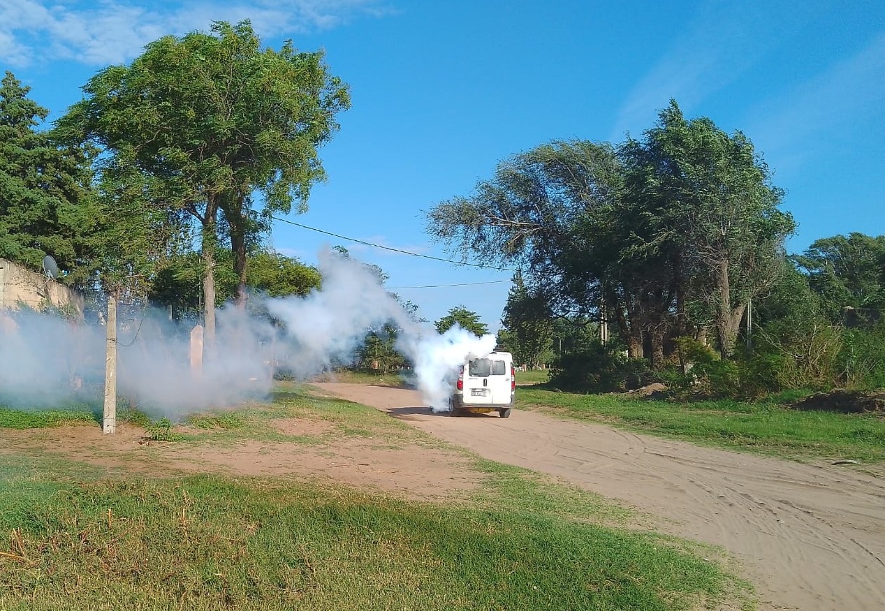 El municipio a través del área de Bromatología continúa dando batalla a los mosquitos