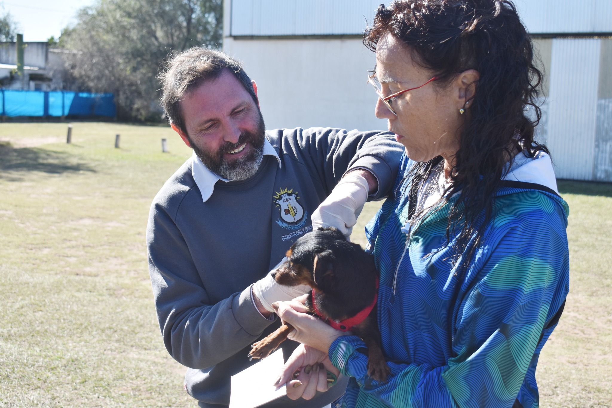 Comenzó la Vacunación Antirrabica para perros y gatos