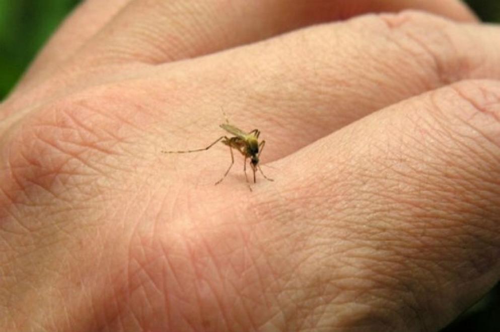 La Provincia lanzó el Plan Estratégico de Abordaje Integral y Vacunación para la Prevención y el Control de Dengue, Chikungunya y Zikaral 