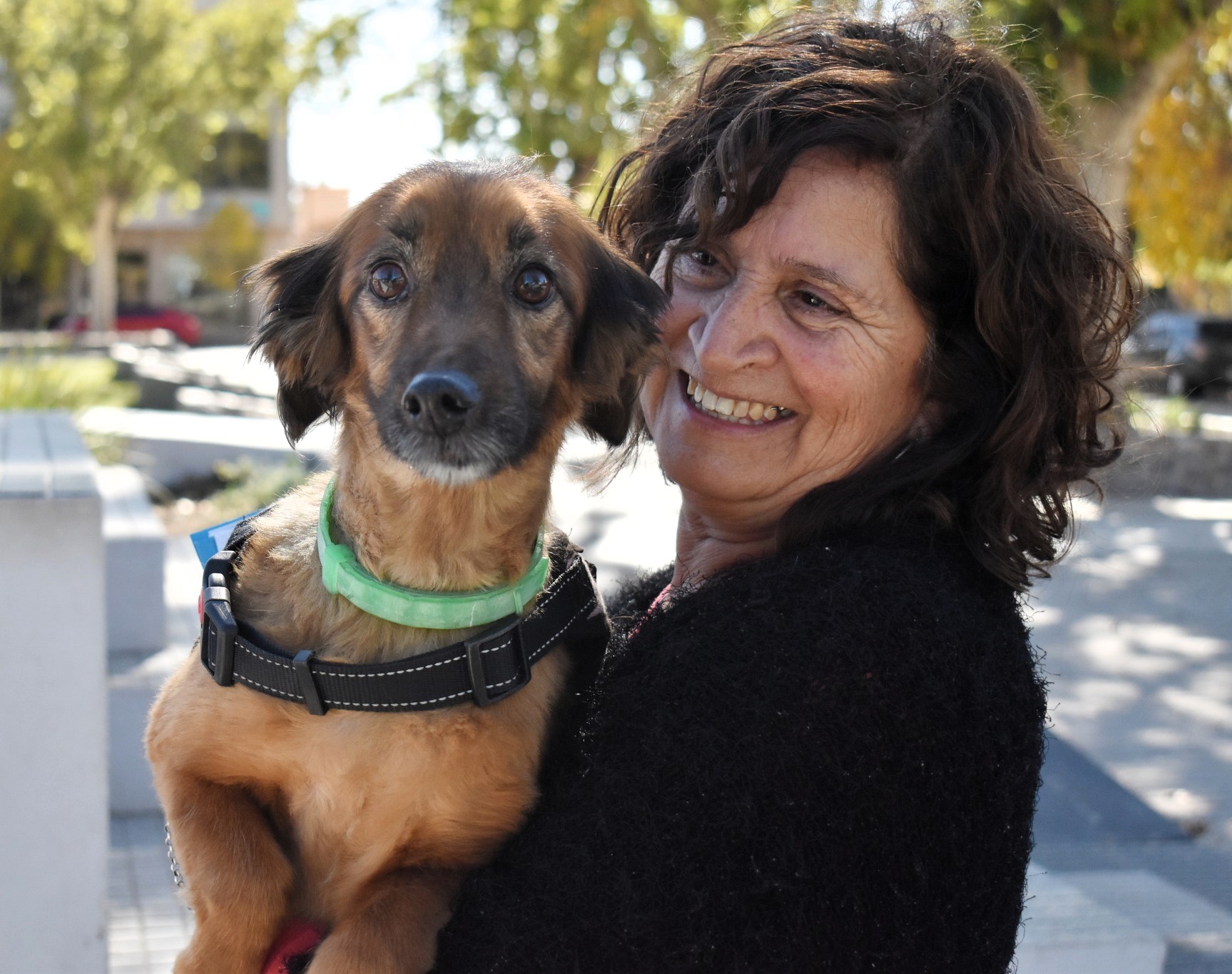 Culminó la Campaña de Vacunación Antirrábica 2024