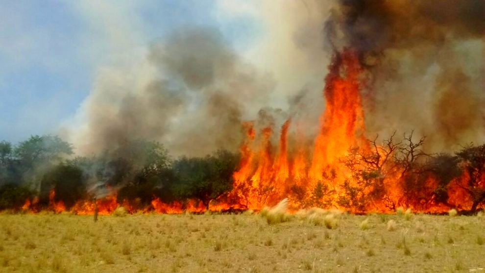 Incendios forestales: Foco activo en La Calera