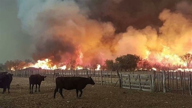 La Provincia declaró el desastre agropecuario por incendios