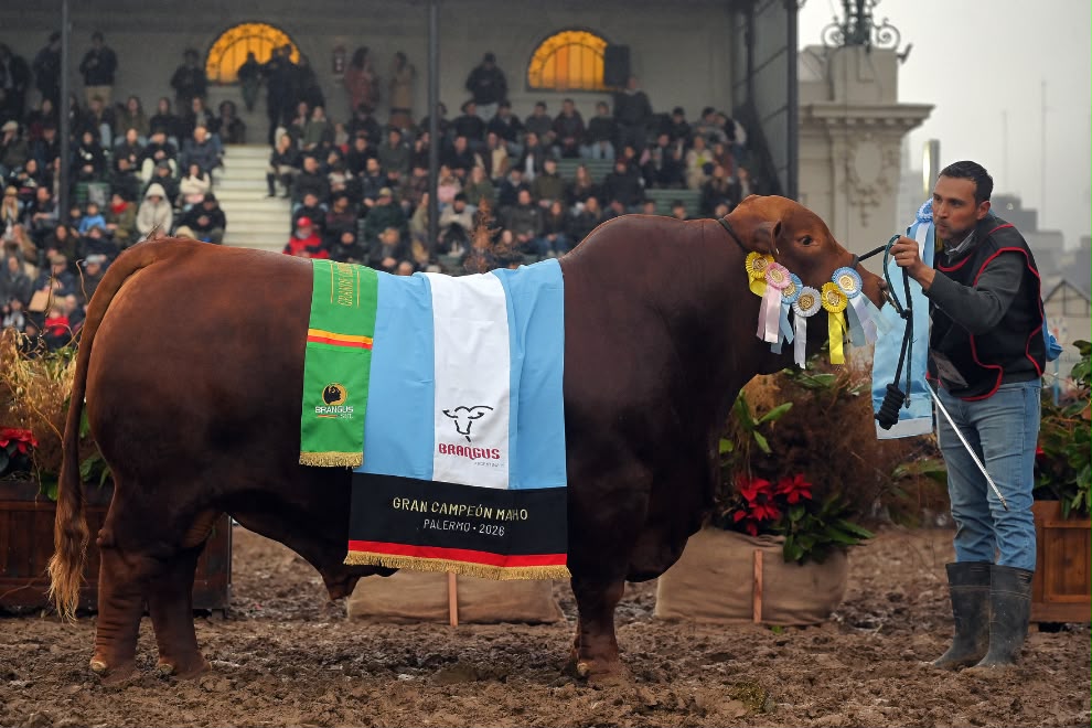 Cabañas de la provincia fueron distinguidas en la Exposición Rural de Palermo