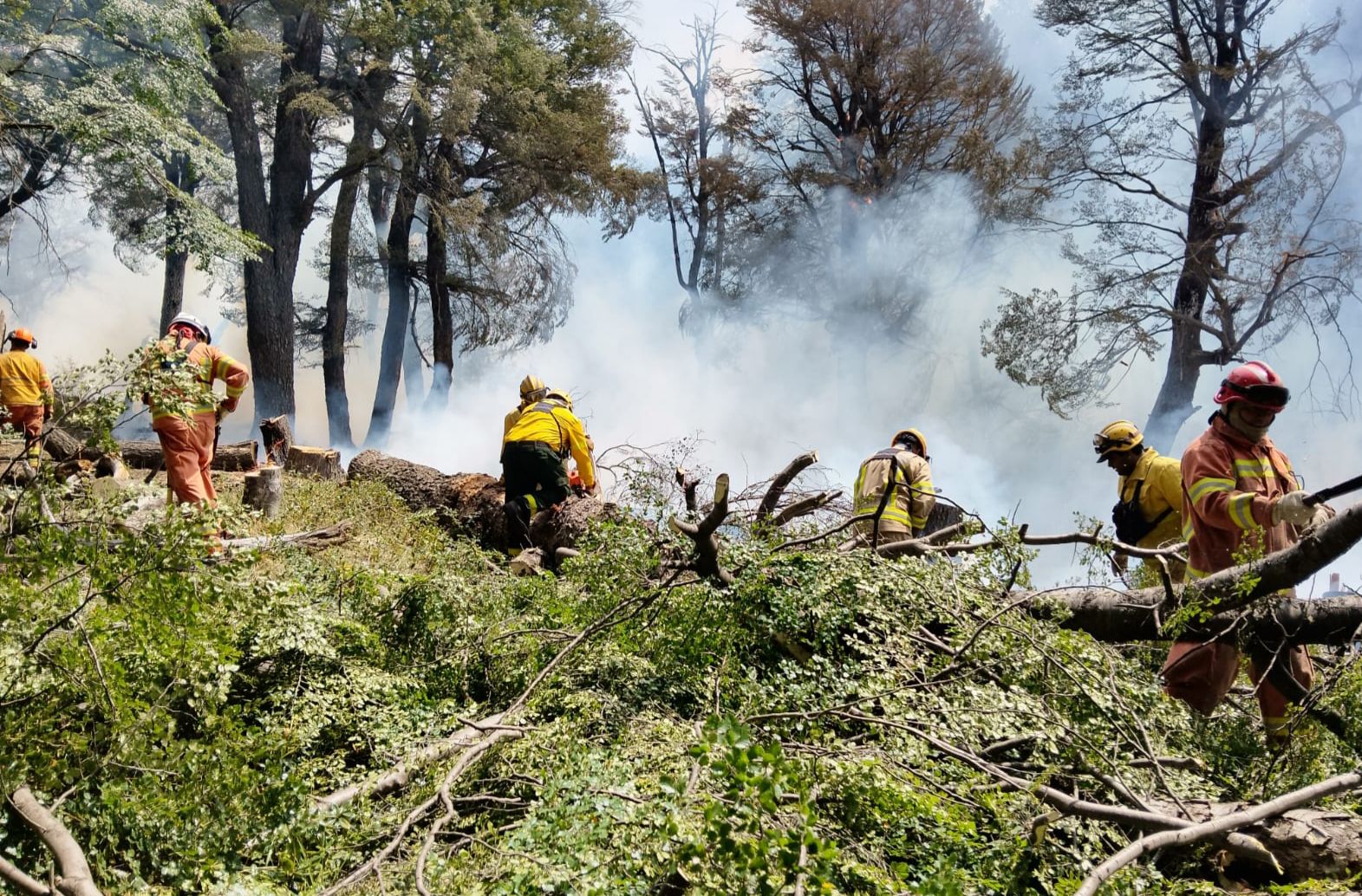Chubut: Con lluvias aisladas y temperaturas mas bajas, sigue el trabajo de bomberos cordobeses