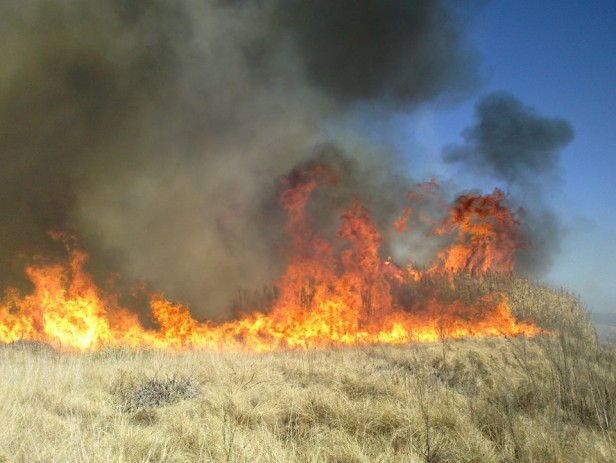 La Provincia declaró el estado de alerta ambiental por riesgo de incendios